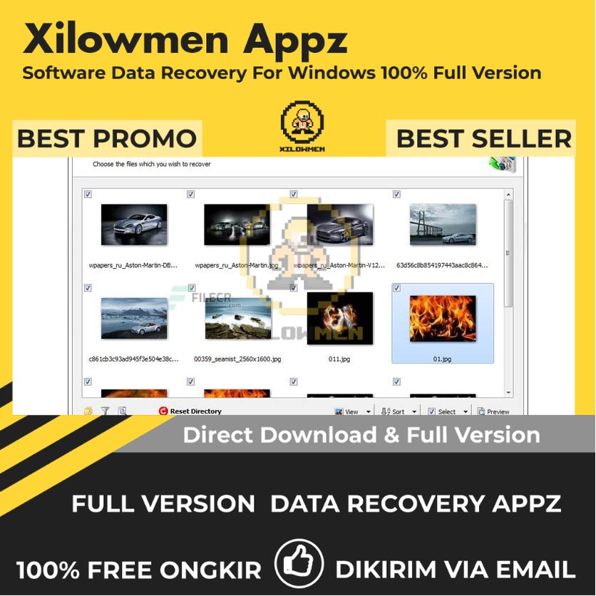 [Full Version] RS Photo Recovery Pro Lifetime Data Recovery WIN OS