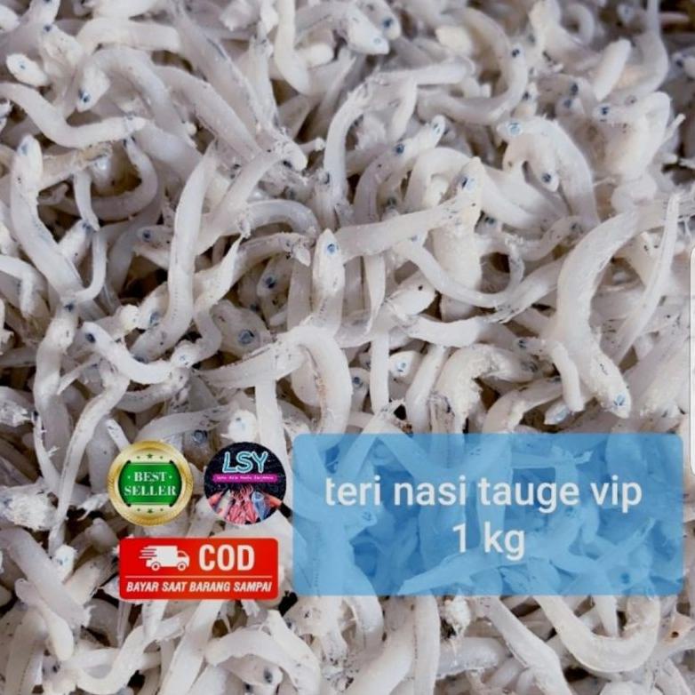 

Terbaruϟday ikan asin tn tauge vip / teri nasi size jumbo 1kg