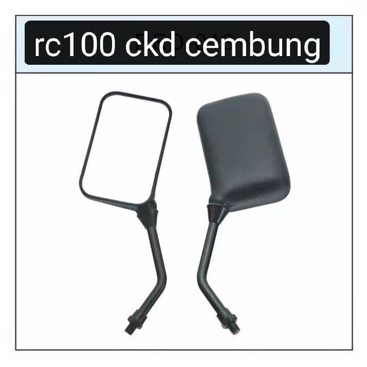 SPION RC100 CEMBUNG