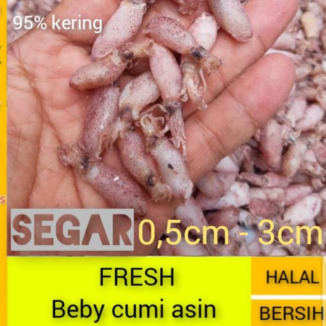 

♪ ikan asin cumi beby super Ω