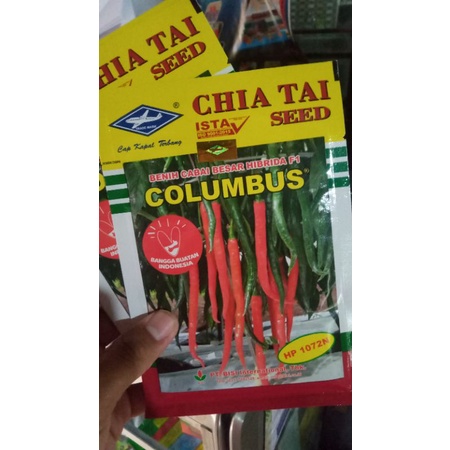 benih cabe besar hibrida F1 Columbus