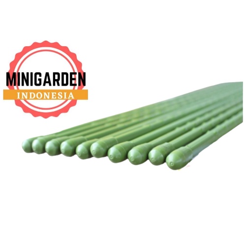 PLANT STAKE AJIR MODERN 75 CM KUALITAS JEPANG penyangga tanaman merambat turus 0,8X75 CM 1,1X75CM