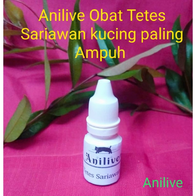 Anilive Obat tetes sariawan kucing ampuh