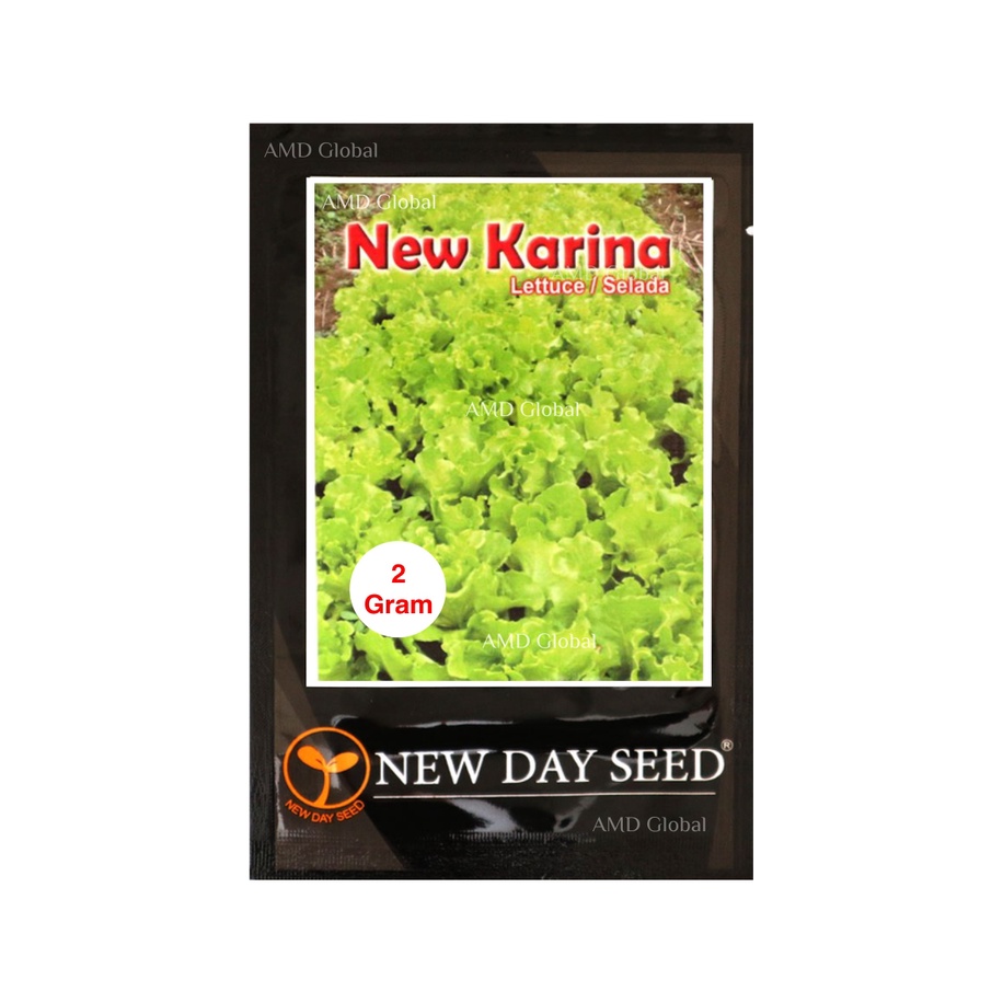 Benih Selada Keriting Hijau New Karina New Day Seed