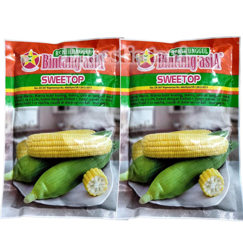 Benih Bibit Jagung Manis SWEETOP (MANISE) Isi 250gr Bintang Asia 100% Original exotic paragon talent