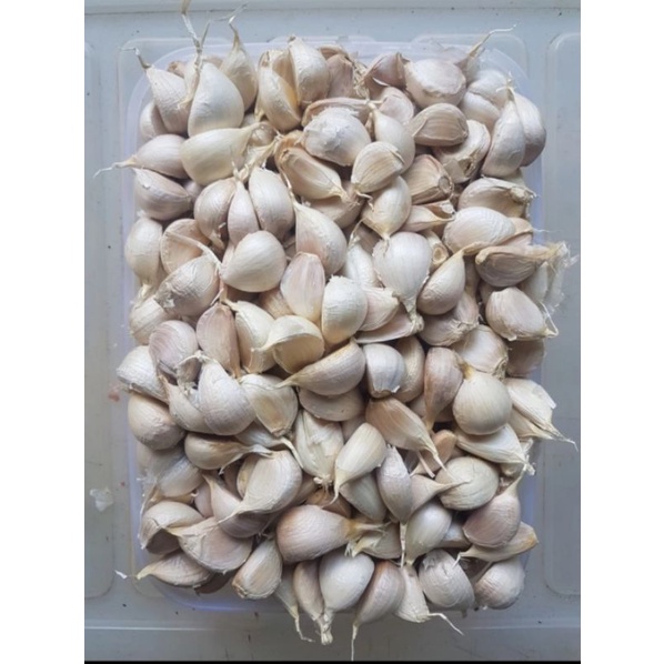 

Bawang Putih 100gram