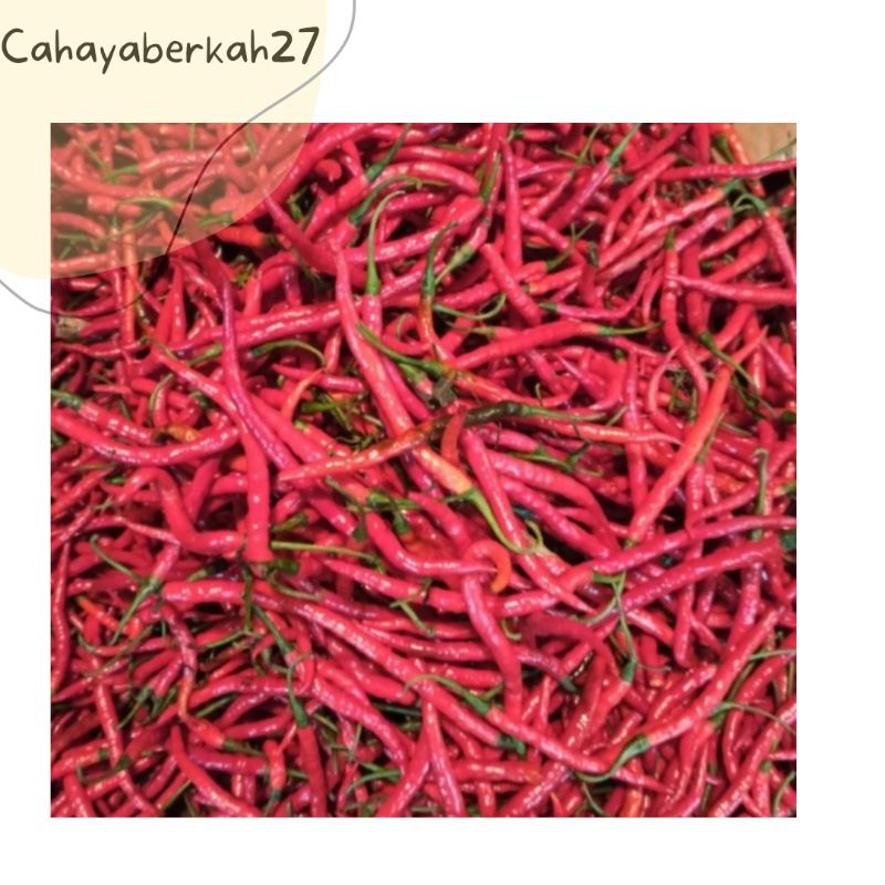 

Cabe Keriting Merah 500gr