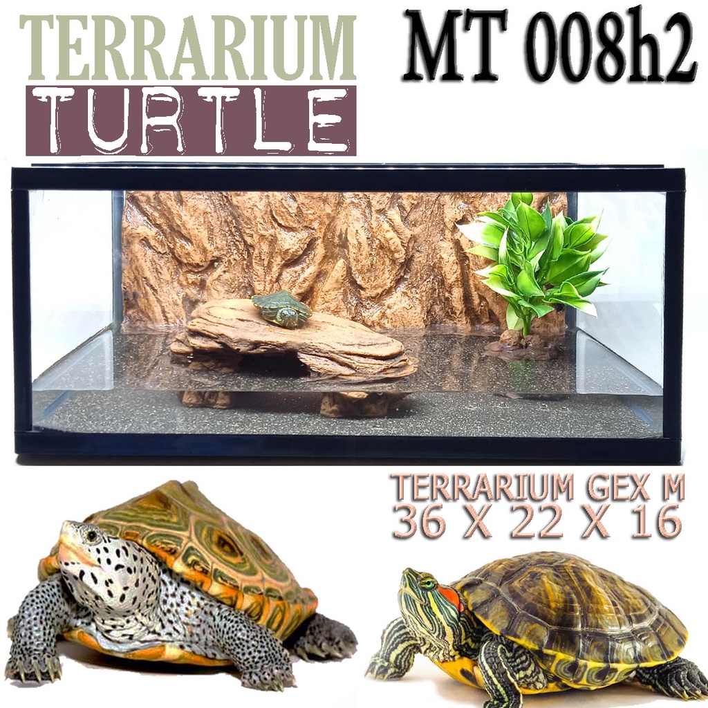 MT008H2 AKUARIUM TERRARIUM KURA KURA AIR AMBON RES BRAZIL RAZOR PIPUT KANDANG REPTILE FULL SET ENCLO