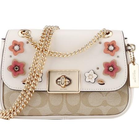 HARGA SPESIAL （grab）73057 coach Canvas with cowhide material lady crossbody bag chain bag
