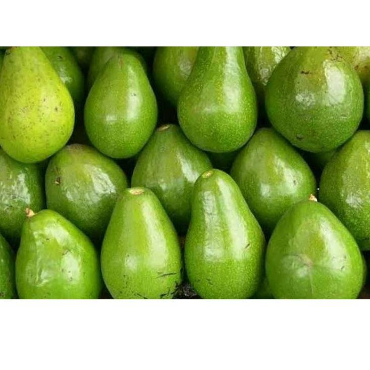 

12.12 ✨SALE✨ alpukat mentega 1000gr serbuuu !