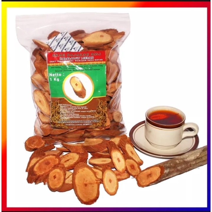 

Kemasan Baru Akar Kayu Bajakah Jenis Kalalawit Merah Obat Herbal Kanker Miom Tumor Kista Benjolan Kayu Bajakah Asli Kalimantan / Herbal Medicine for Myoma Cancer Lump Cyst Tumors - Obat Jantung - Obat Kolesterol - Obat Asam Urat - Obat Paru ParuK