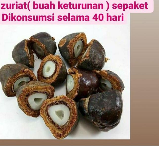 

➻ ZURIAT BELAH SEPAKET ( 40 HARI KONSUMSI ) Zuriat Belah praktis tinggal rebus , LANGSUNG DARI BUAHNYA / ZURIAT ORIGINAL /ZURIAT ORGANIC ☑