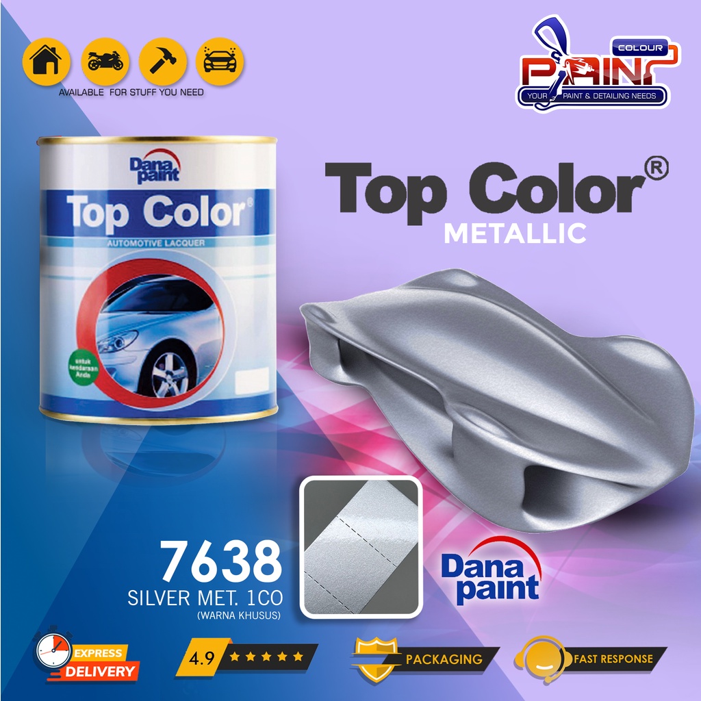 Top Color Metallic 7638 Silver Met 1C0 - Cat Duco