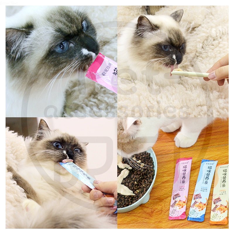 Creamy Snack Kucing Camilan Kucing Basah Snack Kucing Bio Creamy Snack Hewan