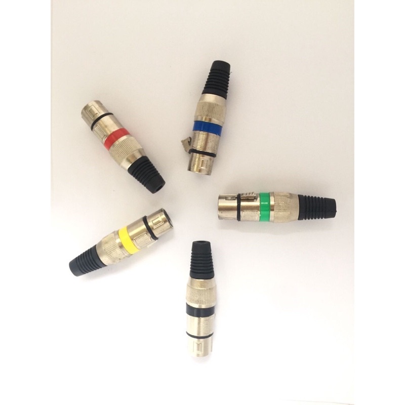 JACK CANON CANARE MALE / FEMALE  | JEK CANON FEMALE