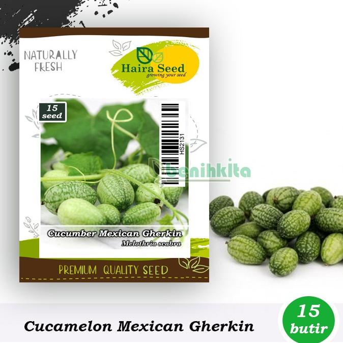 Benih-Bibit Cucamelon Mexican Gherkin (Haira Seed)