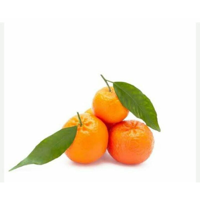 

Jeruk Santang Daun 500g