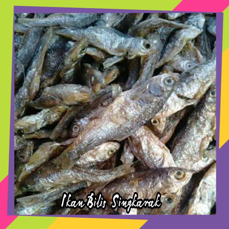 

Ikan Bilih Khas Singkarak Sumatera Barat