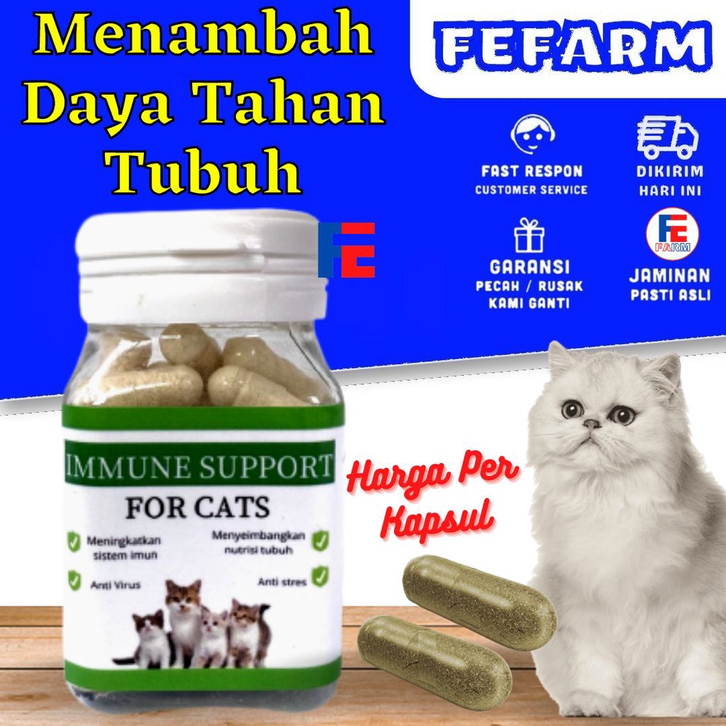 Immune Support Capsules For Cats Suplemen Daya Tahan Tubuh Kucing FEFARM