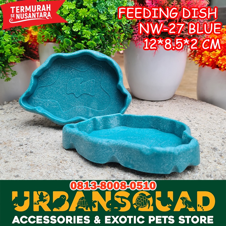 FEEDING DISH NW-27 SULCATA PARDALIS CHERRYHEAD DRAGON