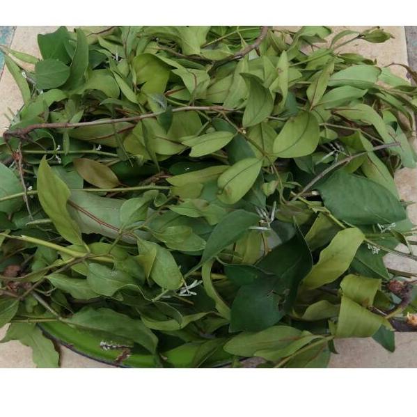 

❈ Daun Benalu Jeruk Nipis 500gram ♦