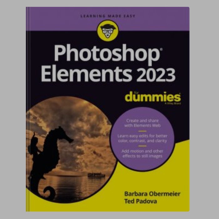 Buku Photoshop® Elements 2023 For Dummies®