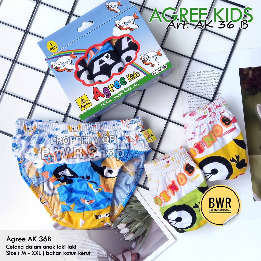 [ 3pc ] CD Agree Kids AK 36 B / Celana Dalam Anak Laki laki Karet Kerut Motif Random | Bwr