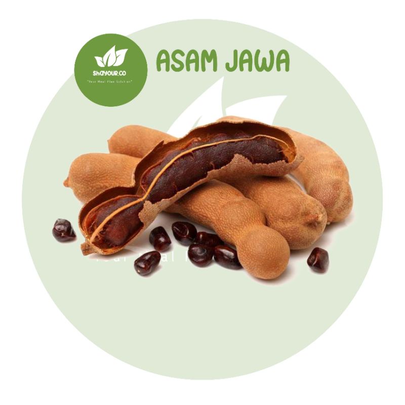 

Asam Jawa Kupas Tanpa Kulit Asem - Shayour.co