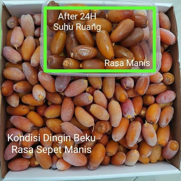 

Grosiran Murah kurma muda ruthob libya 1kg premium buruan