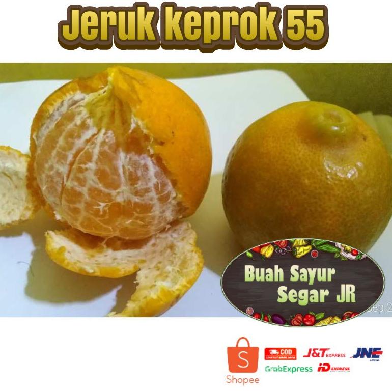 

P78 JERUK KEPROK 55 MALANG / JERUK MURAH / JERUK KEPROK SEGAR RESTOCK ㅋ