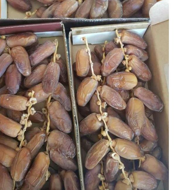 

❋ KURMA TANGKAI EL RIAD DATES 500gr/ TUNISIA TANGKAI ✱