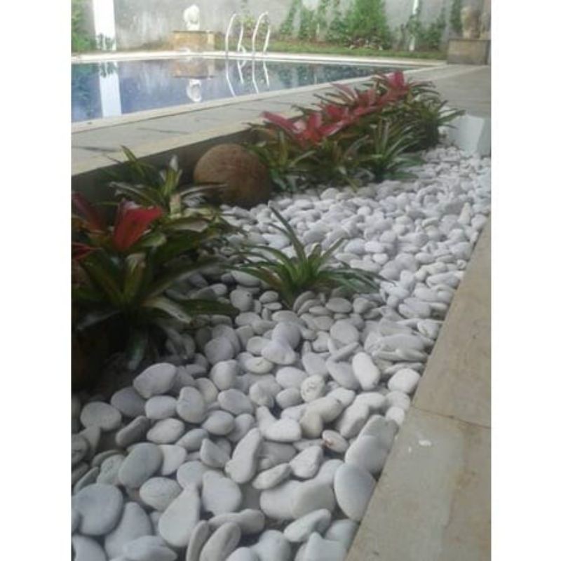 Batu Coral Hiasan Taman | Batu Coral | Dekorasi Taman | Hiasan Taman