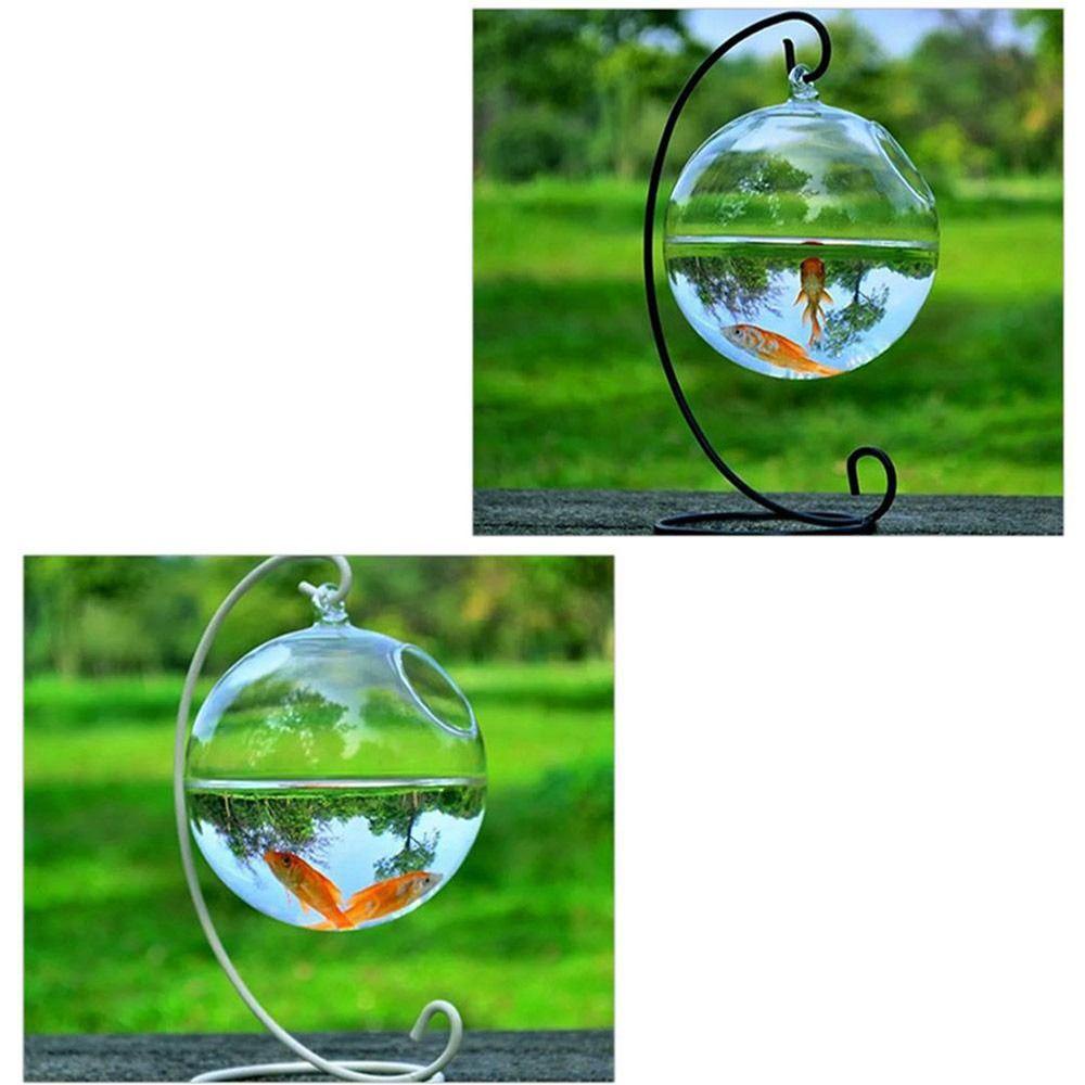 Solighter Hanging Glass Fish Bowl Dekorasi Rumah Kerajinan Kaca Hiasan Aquarium Hiasan Dinding Dengan Rak Holder Hidroponik Vas Fish Bowl