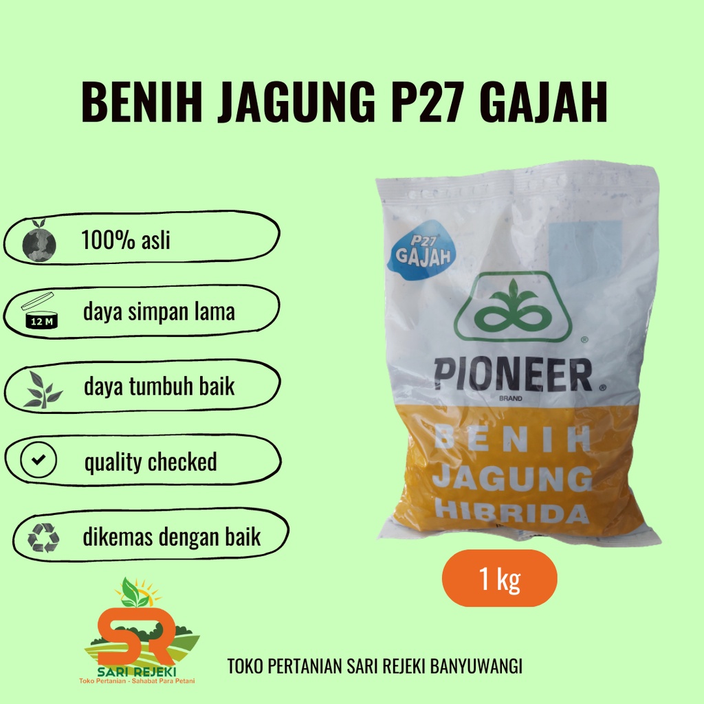 BENIH JAGUNG HIBRIDA PIONEER P27 GAJAH 1KG