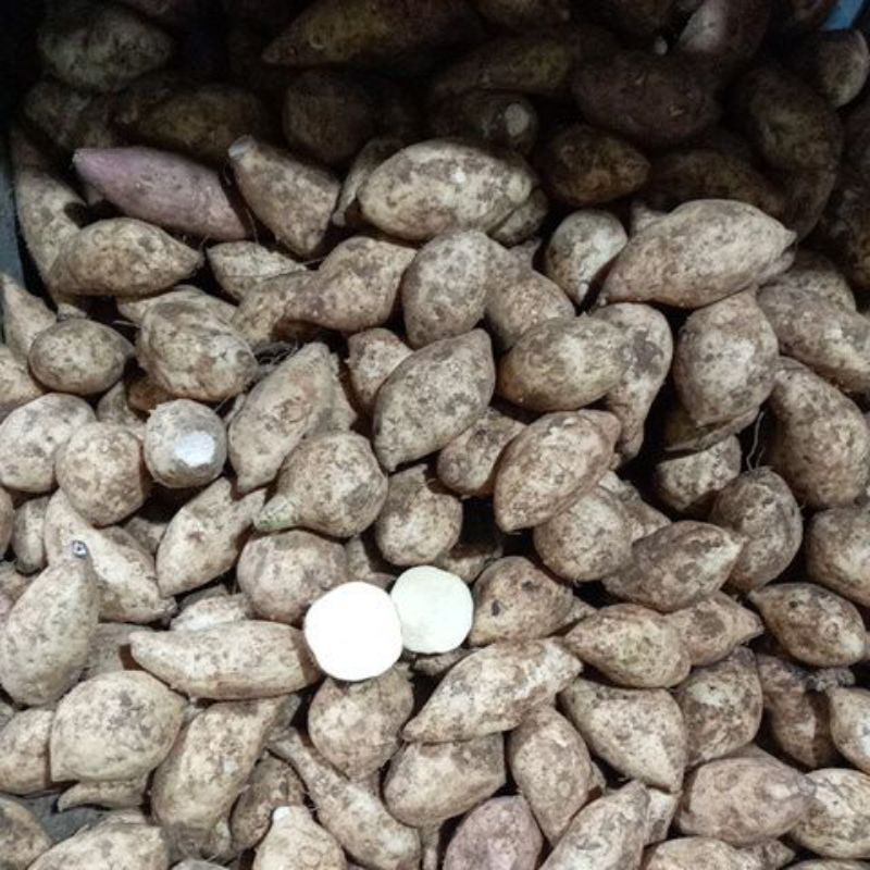 

Ubi Jalar Kuning 500g