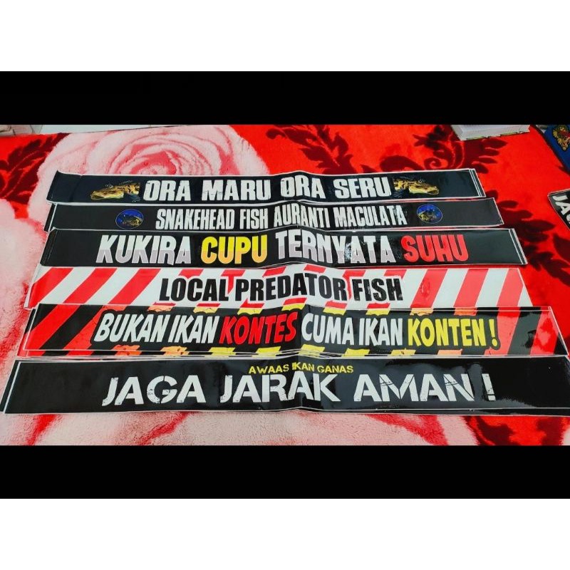 sticker / stiker list aquarium ikan channa cana predator ukuran 80cm x 7cm