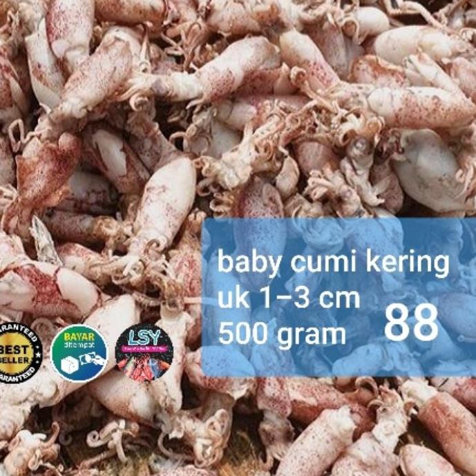 

☏ ikan asin baby cumi / cumi rebus kering 88 berat 500gram ✭