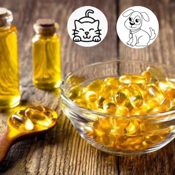 Fish Oil soft gel - Minyak Ikan Butiran - vitamin kucing anjing eceran
