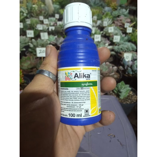 insektisida alika