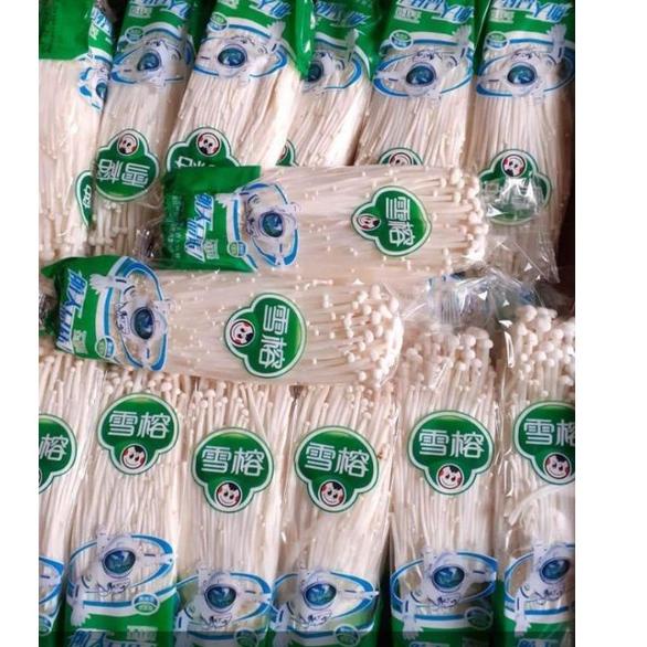 

A26 Jamur Enoki Import 100 Gram TERBARU す