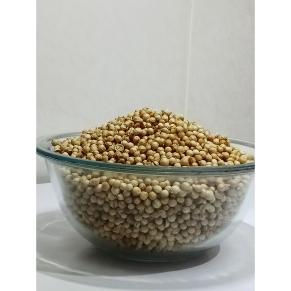 

Ketumbar biji Asli per bungkus 100gr