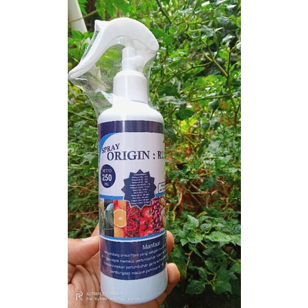 pupuk pelebat buah Origin Rusia Spray 250ML