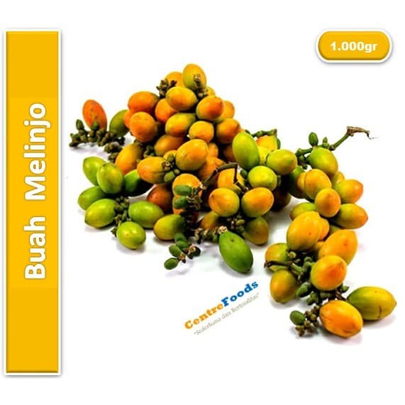 

Buah Melinjo - Tangkil Fresh | 1.000gr [ Harga Per KG ]