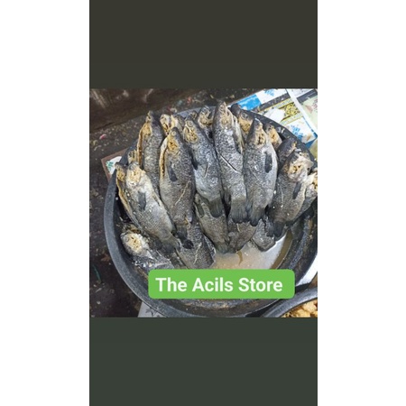 

Ikan Asin Wadi Papuyu Ikan betok ikan kering Iwak Karing khas Kalimantan 500gr