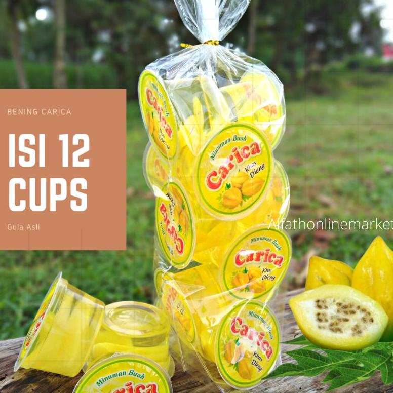 

Stok terbaru Carica Khas Dieng isi 12 cups GULA ASLI - Oleh Oleh Khas Dieng Minuman Manisan Buah Carica vol 60 ml