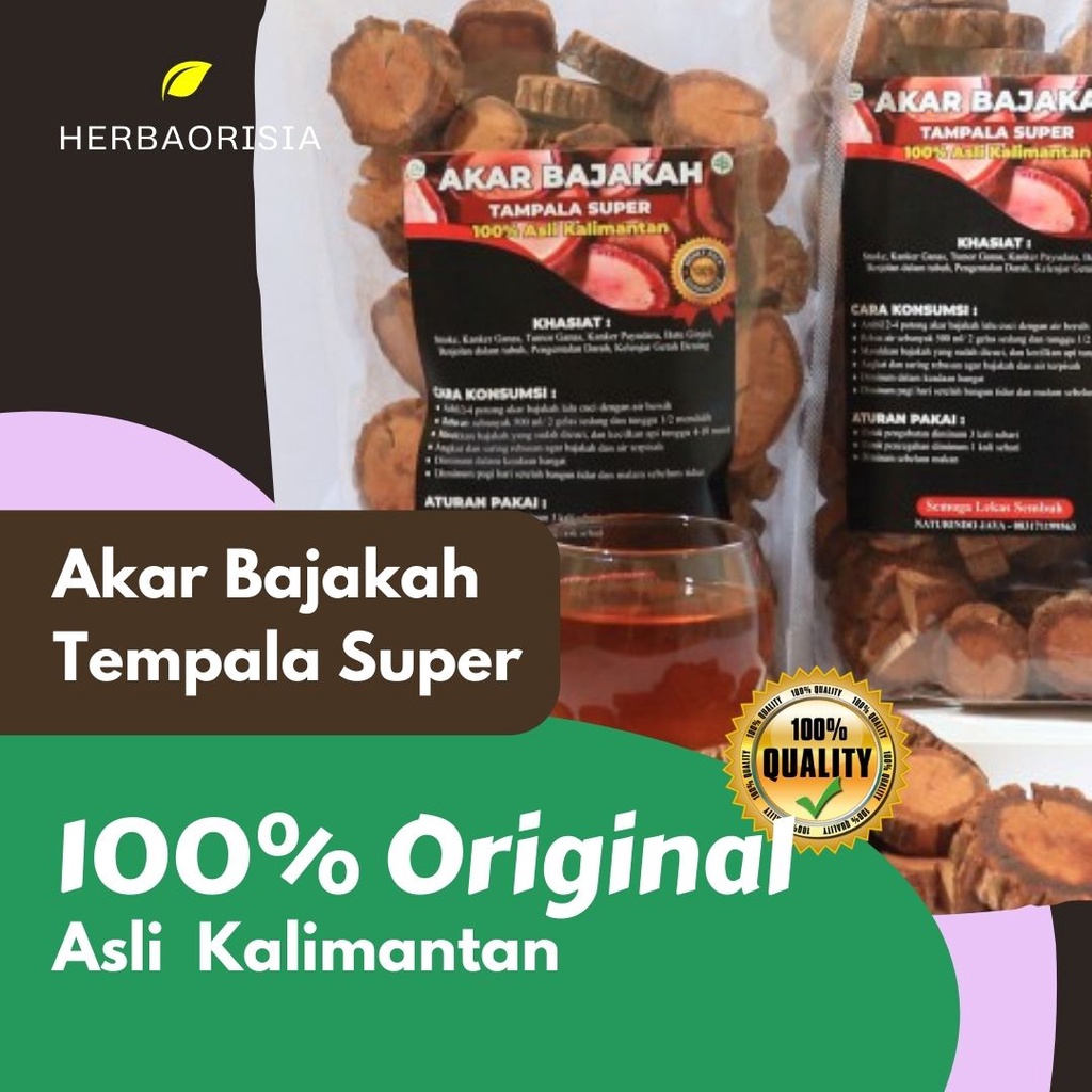 

Akar Bajakah Tempala Super 500 gr 1 kg Asli Kalimantan 100%