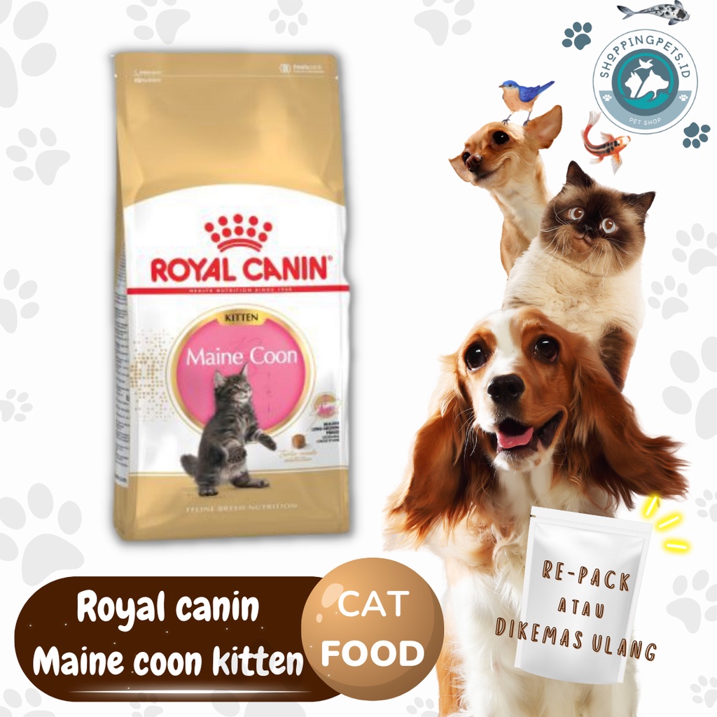 Royal Canin Kitten Mainecoon 250gr s/d 1kg repack/eceran-NoF  [UP]