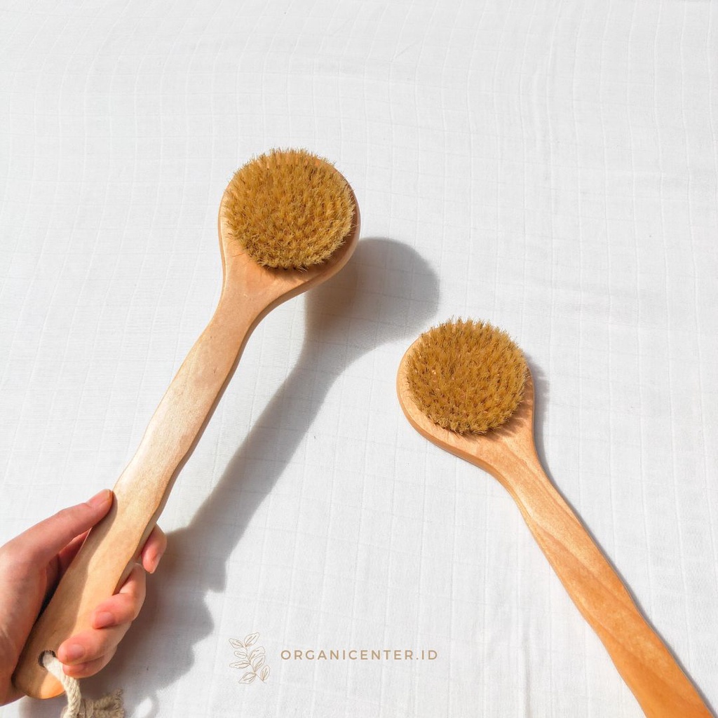 Sikat Punggung Bambu Bamboo Back Brush Round Head Natural Bristle Eco Friendly Alami Ramah Lingkungan Eksfoliasi Gosok Kuas Mandi Badan Spons Shower Puff