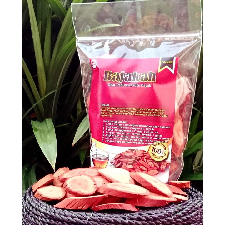 [TERLARIS] Akar kayu bajakah merah asli kalimantan/ teh herbal bajakah super asli