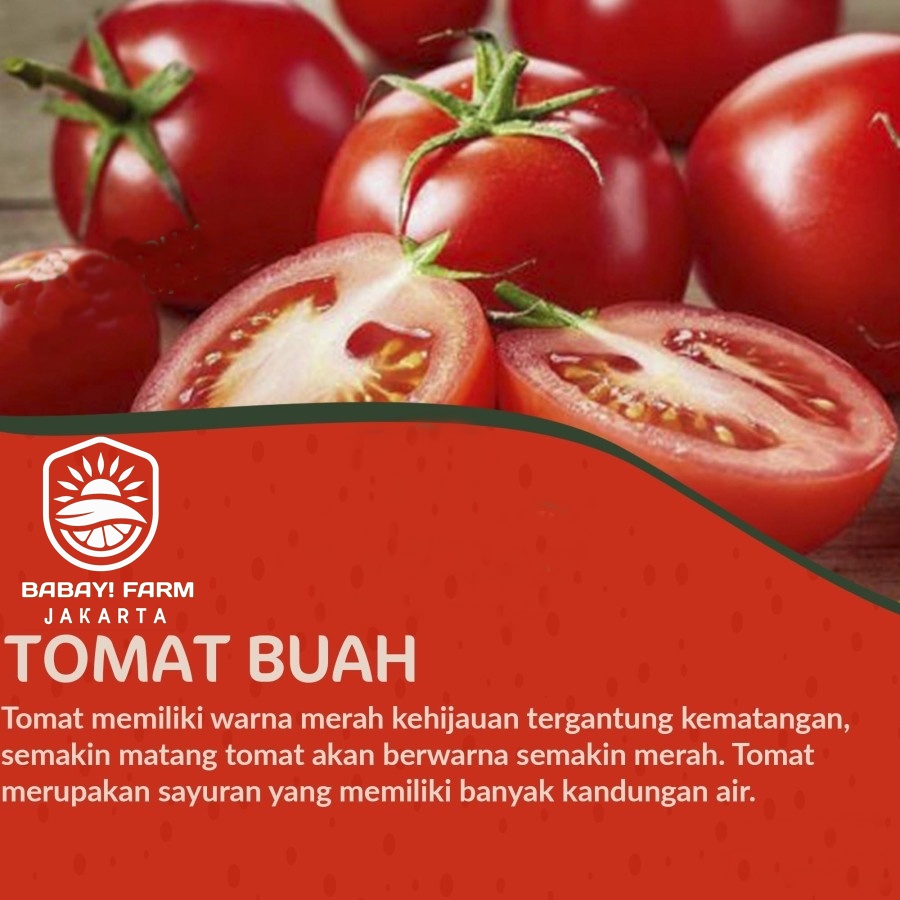 

Tomat Buah / Red Tomato 250 500 gr / 1 kg